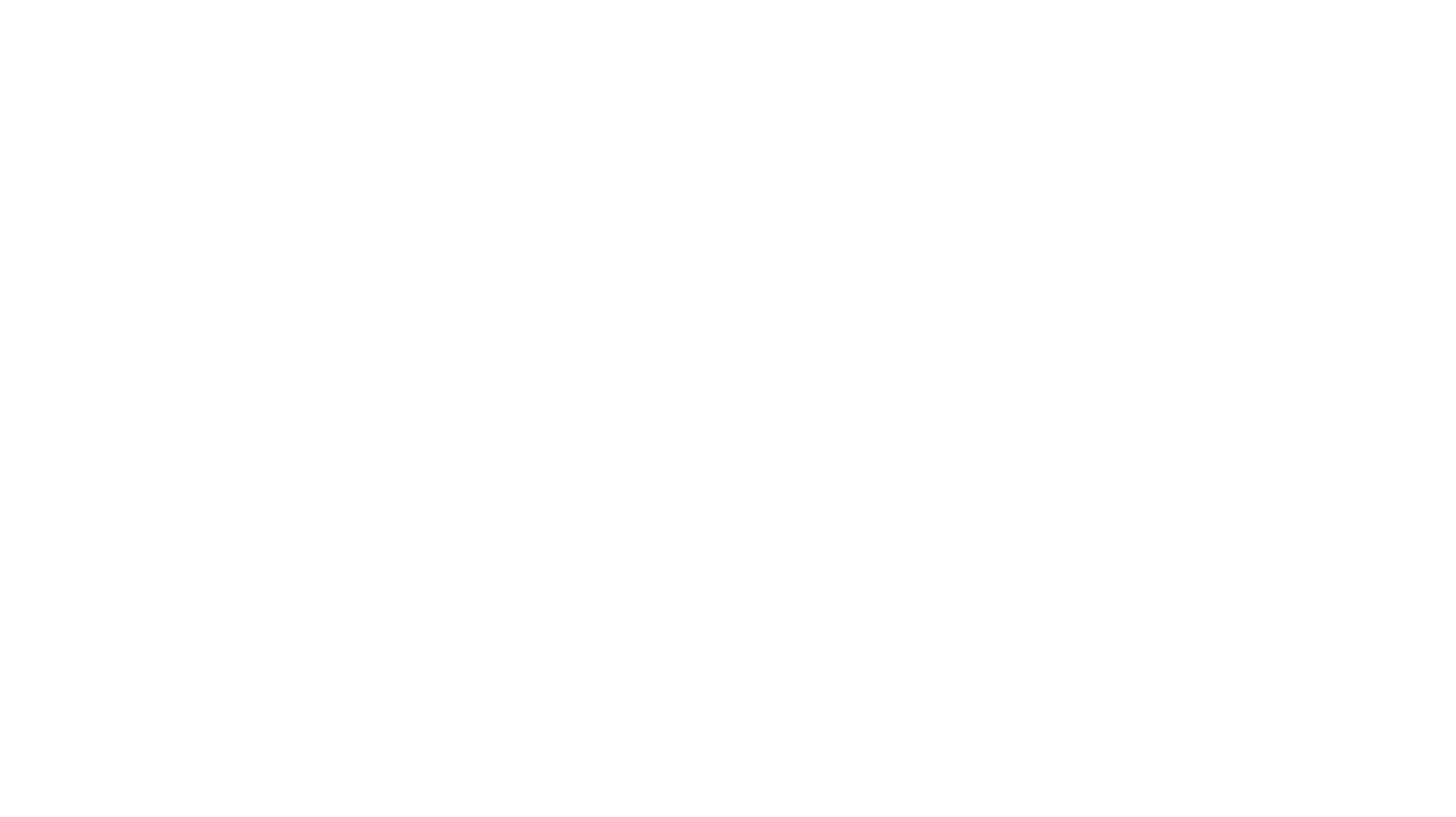 CEO Noodles brand logo